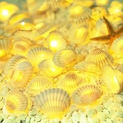 Cynzia natural seashells for sale  Delivered anywhere in USA 