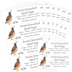 Smarsticker unwashed chicken for sale  Delivered anywhere in USA 