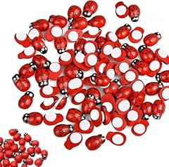 Flycppo mini coccinella usato  Spedito ovunque in Italia 