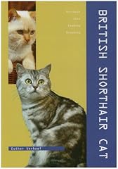 british shorthair non loof d'occasion  Livré partout en France