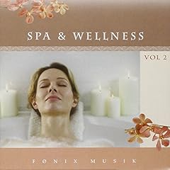 Spa wellness . gebraucht kaufen  Wird an jeden Ort in Deutschland