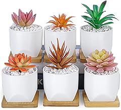 Artketty succulent pots for sale  Delivered anywhere in USA 