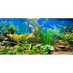Awert 48x24 inches for sale  Delivered anywhere in USA 