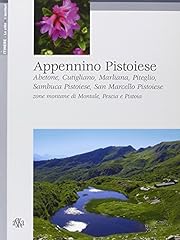 Appennino pistoiese usato  Spedito ovunque in Italia 