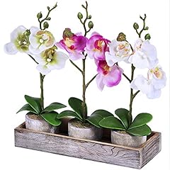 Set fake orchid for sale  Delivered anywhere in USA 