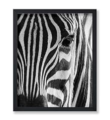 Poster master photograph for sale  Delivered anywhere in USA 