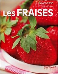 fraise mere d'occasion  Livré partout en France