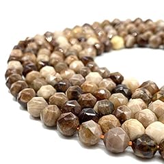 Abcgems american silicified for sale  Delivered anywhere in USA 