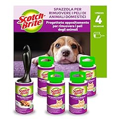 Scotch brite pet usato  Spedito ovunque in Italia 
