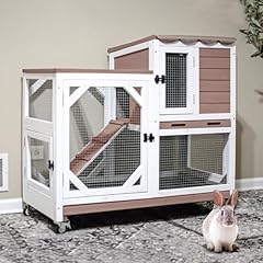 Gutinneen story rabbit for sale  Delivered anywhere in USA 