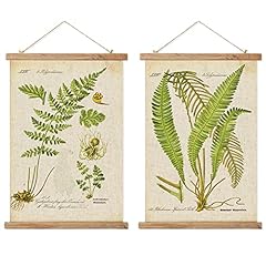 Pack vintage ferns for sale  Delivered anywhere in USA 