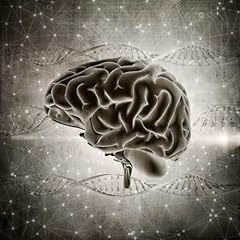 Intelligenza suprem usato  Spedito ovunque in Italia 