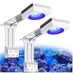 Popbloom 2pcs wifi for sale  Delivered anywhere in UK