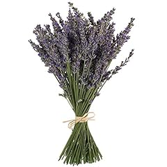 Tooget natural lavender for sale  Delivered anywhere in USA 