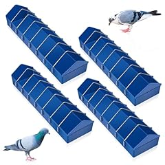 Tioncy pcs pigeon for sale  Delivered anywhere in USA 
