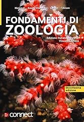 Fondamenti zoologia usato  Spedito ovunque in Italia 