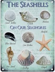 Seashells seashore metal for sale  Delivered anywhere in UK