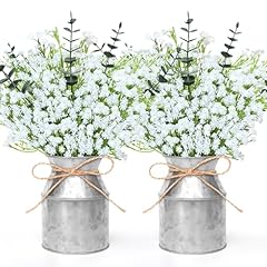 Pack babys breath for sale  Delivered anywhere in USA 