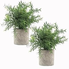 Velener lot plantes d'occasion  Livré partout en France