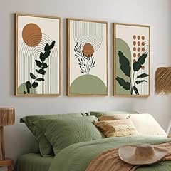 Phopago boho plant for sale  Delivered anywhere in USA 