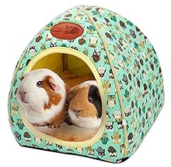 Supjade guinea pig for sale  Delivered anywhere in UK