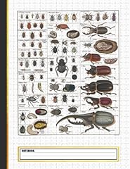 Insects collection species for sale  Delivered anywhere in UK