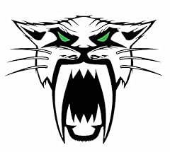 Arctic cat decal for sale  Delivered anywhere in USA 