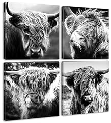 Djsylife highland cow for sale  Delivered anywhere in USA 