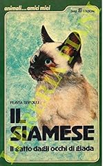 Siamese gatto dagli usato  Spedito ovunque in Italia 