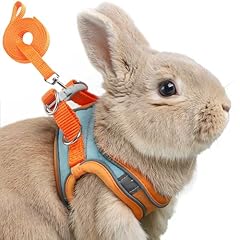 Adjustable bunny harness for sale  Delivered anywhere in USA 
