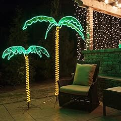 Gfqhf palm trees for sale  Delivered anywhere in UK