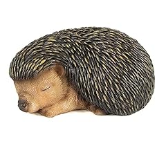 Wrenbury cute hedgehog for sale  Delivered anywhere in Ireland