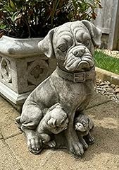 Boxer dog pups for sale  Delivered anywhere in UK