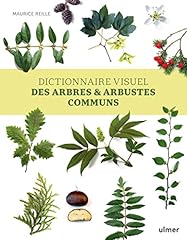 arbres arbustes d'occasion  Livré partout en France