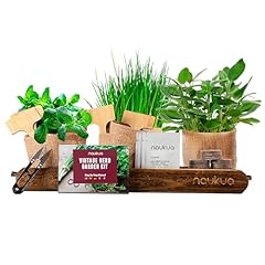 Kit potager interieur d'occasion  Livré partout en France