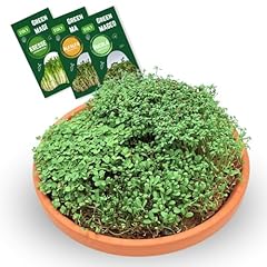 Green mageo family d'occasion  Livré partout en Belgiqu