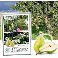 Common pear tree for sale  Delivered anywhere in USA 