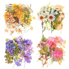 160 stück blumen gebraucht kaufen  Wird an jeden Ort in Deutschland