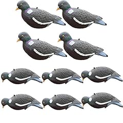High definition pigeon for sale  Delivered anywhere in UK