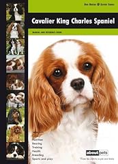 Cavalier king charles d'occasion  Livré partout en Belgiqu