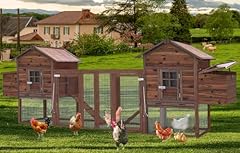 Wooden chicken coop for sale  Delivered anywhere in USA 