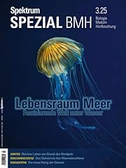 Spektrum spezial bmh gebraucht kaufen  Wird an jeden Ort in Deutschland