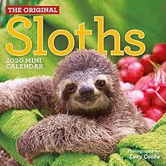 Original sloths mini for sale  Delivered anywhere in USA 