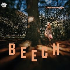 Beech for sale  Delivered anywhere in UK