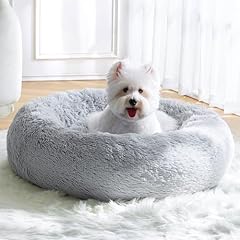 Calming small dog for sale  Delivered anywhere in USA 