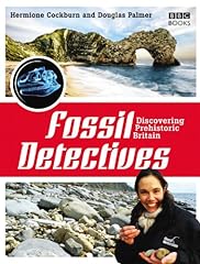 The fossil detectives gebraucht kaufen  Wird an jeden Ort in Deutschland