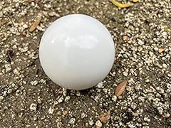 Buybocceballs listing premium for sale  Delivered anywhere in USA 