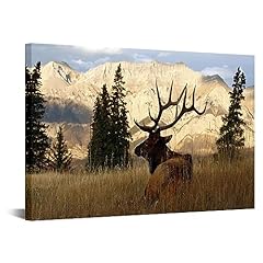 Vvovv wall decor for sale  Delivered anywhere in USA 