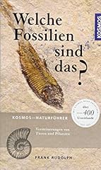 Fossilien gebraucht kaufen  Wird an jeden Ort in Deutschland