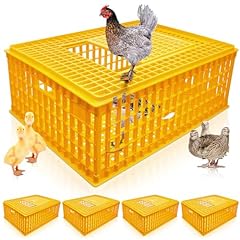 Sintuff pcs poultry for sale  Delivered anywhere in USA 